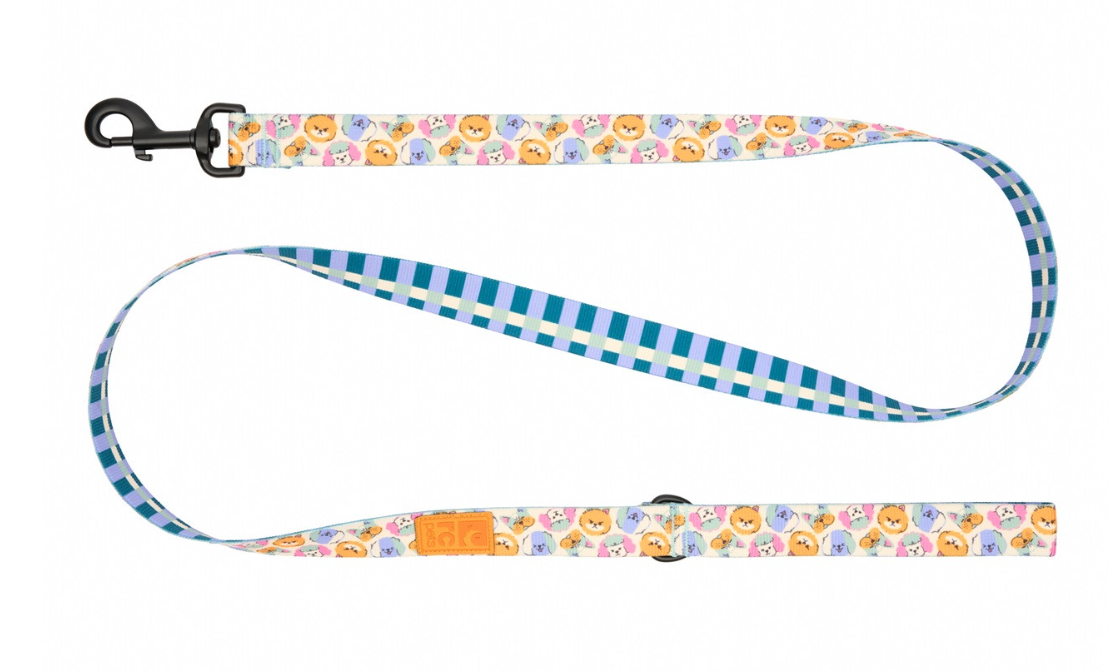 RC Pets Eco Leash