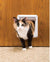 PetSafe 4-way Locking Cat Door
