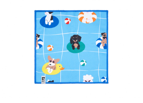 RC Pets Quick Dry Paw Towel