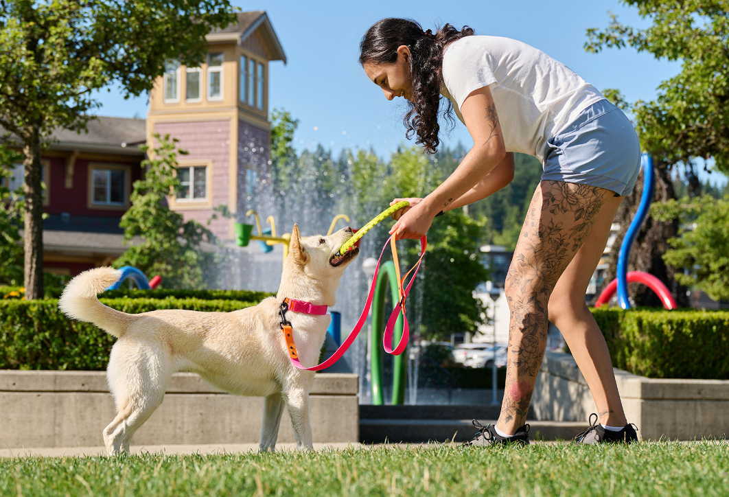 RC Pets Waterproof Collar