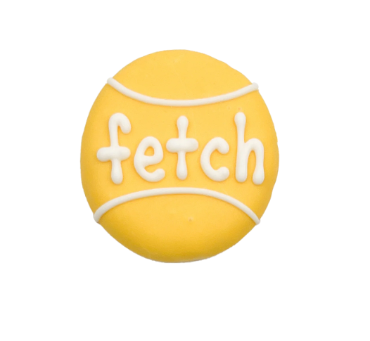 Bosco &amp; Roxy&#39;s Epic Fetch Ball