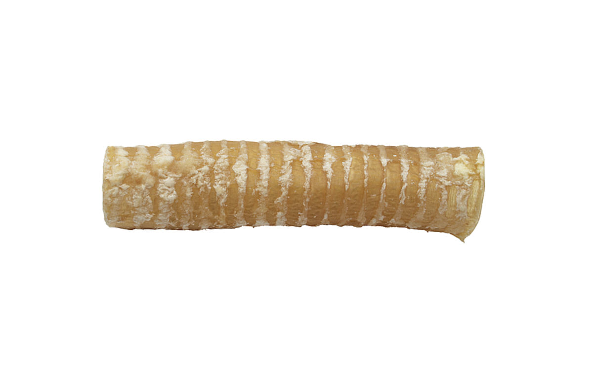 Asado Beef Trachea 6"