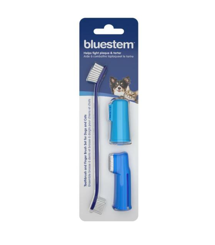 Bluestem ToothBrush Kit