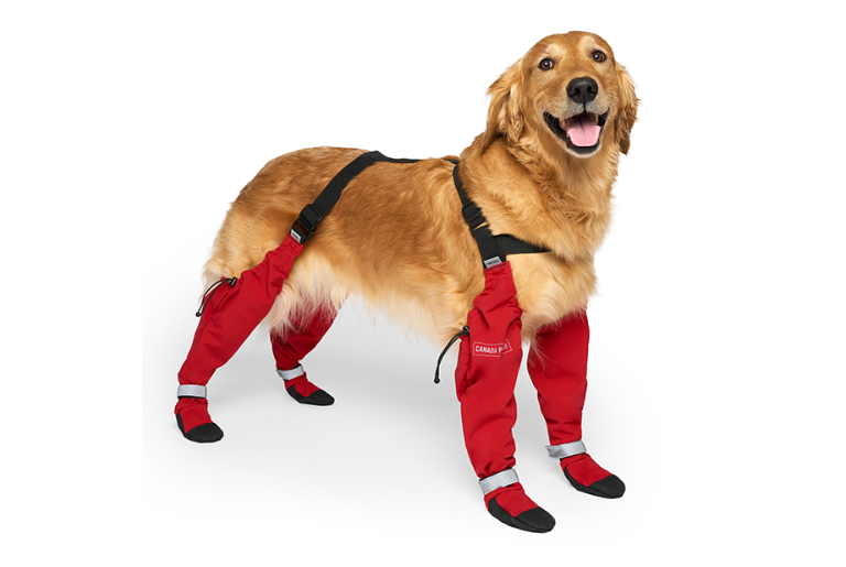 Canada Pooch Suspender Boots