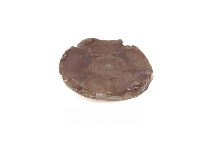 Forever Pure Beef Protein Disc
