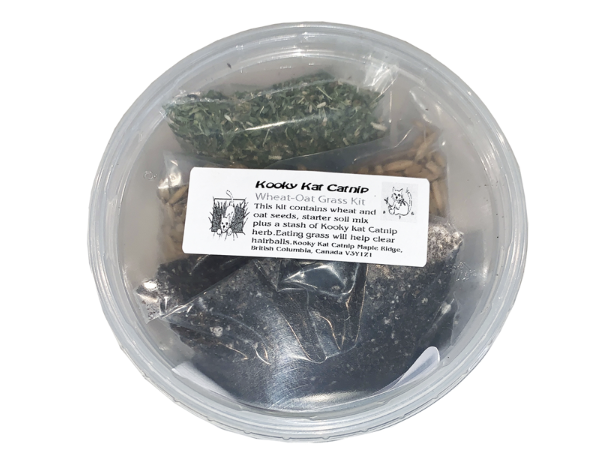 Kooky Kat Oat Grass Kit