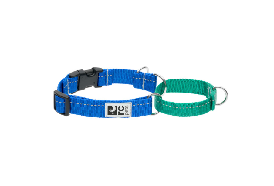 RC Pet Primary Web Training Clip Collar Sapphire/Parakeet
