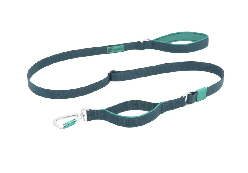 RC Pets Stratus Leash 1x7