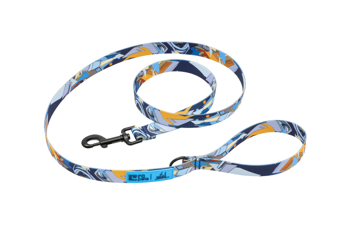 RC Pets Artist Series Leash