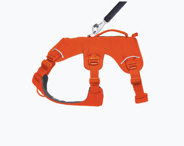 Ruffwear Web Master Harness