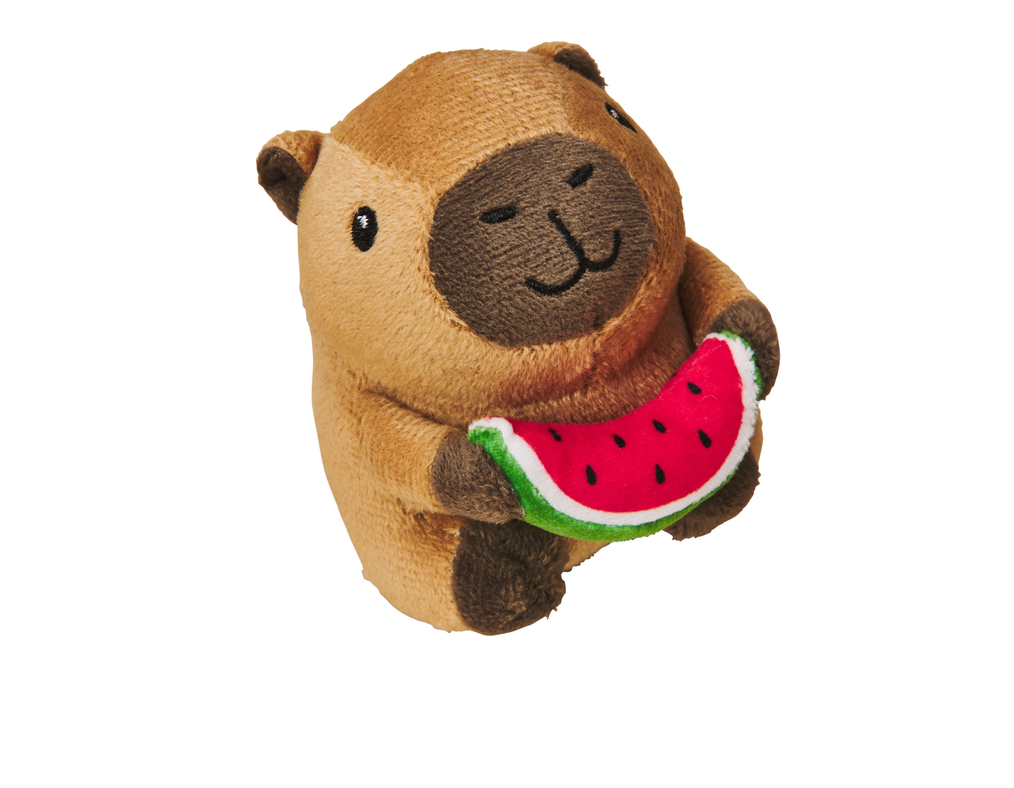 Spot Cat Capybara with Watermelon