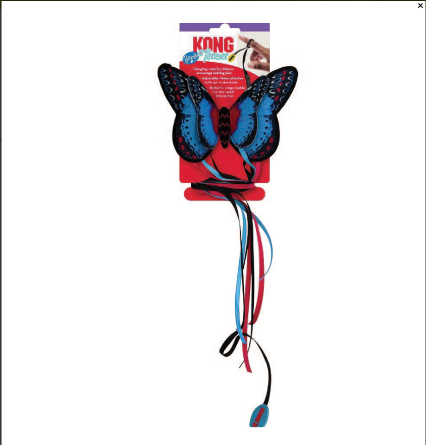 Kong CAT Teaser Butterfly