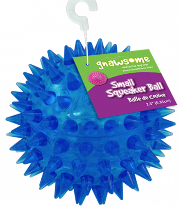 Gnawsome Squeaker Balls