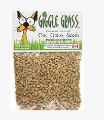 Giggle Grass  Oat Seeds 125g