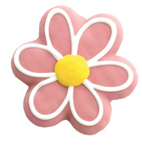 Bosco &amp; Roxy’s Daisy Flower