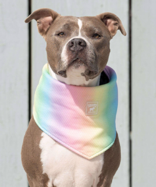 Canada Pooch Cooling Bandana Tie Dye