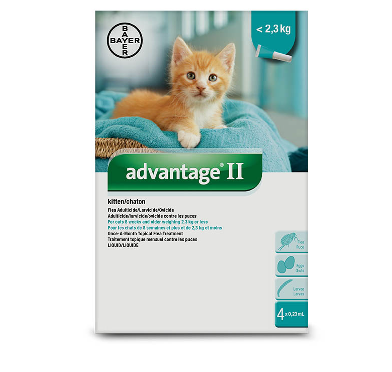 Advantage Cat II