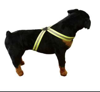 Silverfoot Reflective Walker