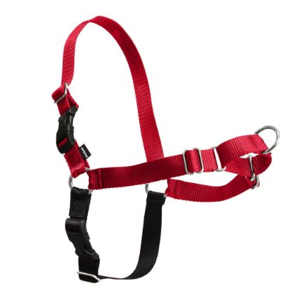 Easy Walk Harness