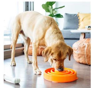 Outward Hound Fun Feeder Slo Bowl