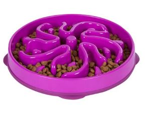 Outward Hound Fun Feeder Slo Bowl