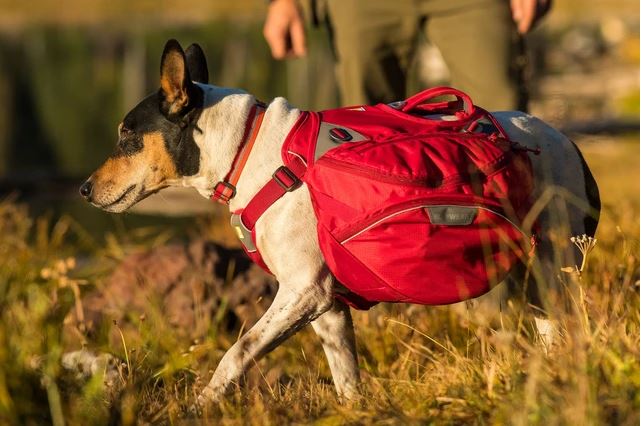 Ruffwear Palisades Pack