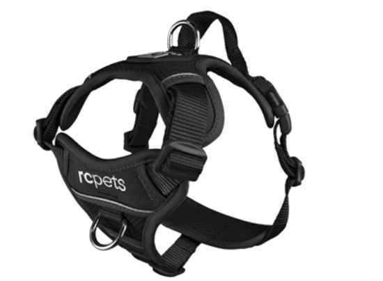 RC Pet Momentum Harness