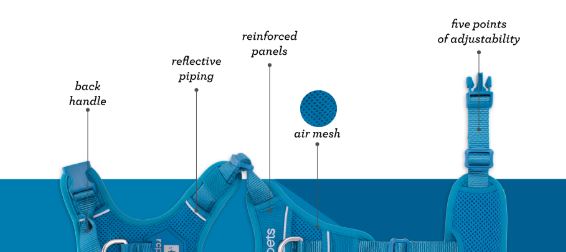 RC Pet Momentum Harness