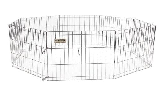 Precision Exercise Pen