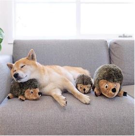 Outward Hound Hedgehogz