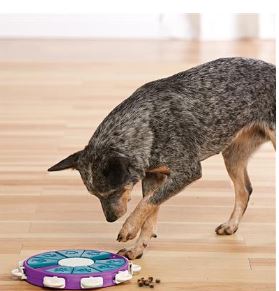 Outward Hound Dog Twister Puzzle