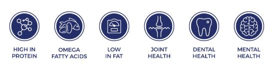 Open Range 12” Water Buffalo Bully