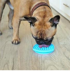 Bristly Tongue Cleaner