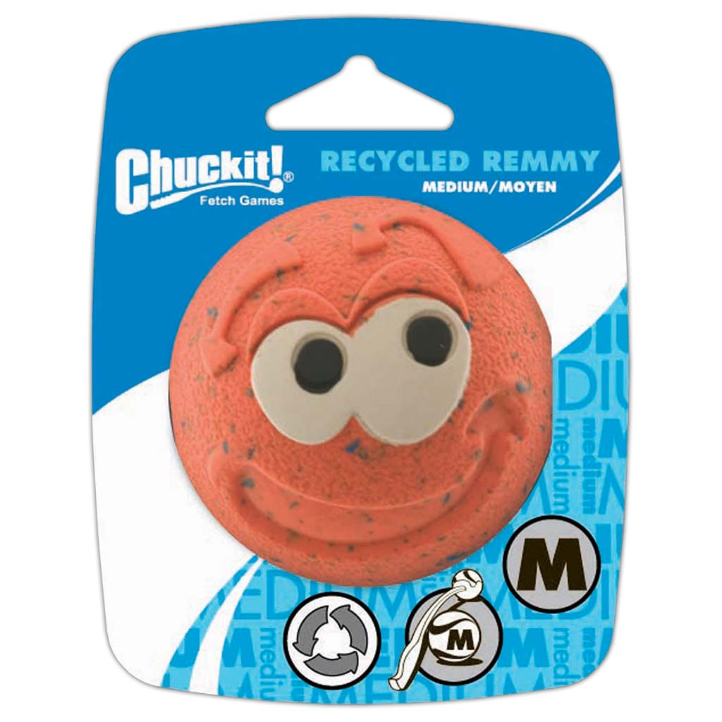 Chuckit! Recycled Remmy