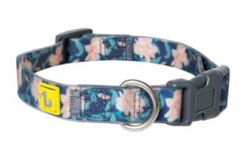 Be One Breed Silicone Collars House of Paws Rossland