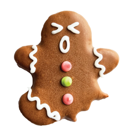 XMAS Bosco & Roxy's Oh Snap Gingerbread Man