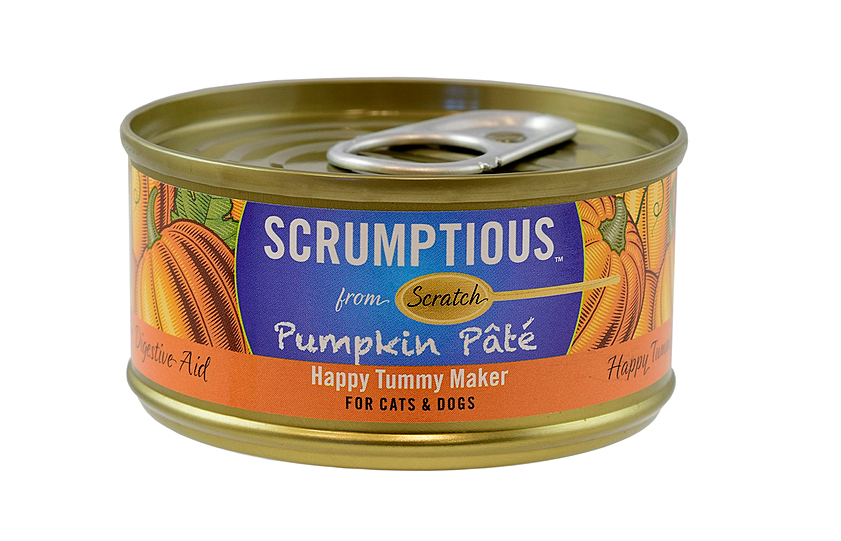 Scrumptious Pumpkin Pate