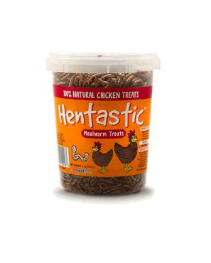 Hentastic Dried Mealworms