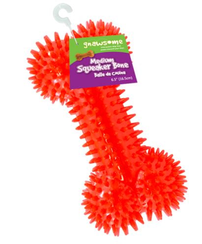 Gnawsome Squeaker Bone
