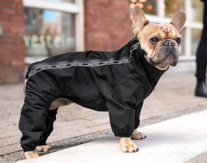 Canada Pooch The Slush Suit