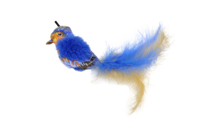 Coastal Turbo Blue Bird