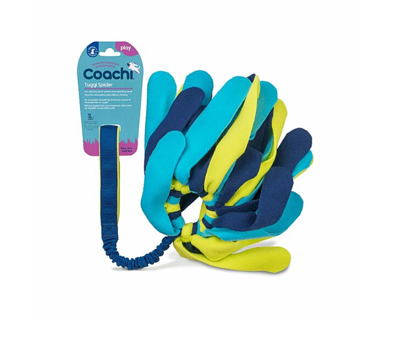 Company of Animals Coachi Tuggi Spider