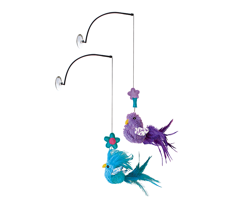 Kong Connects Window Teaser