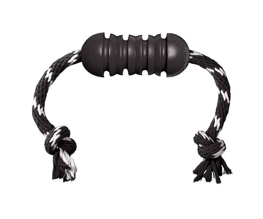 Kong Extreme Dental with Rope