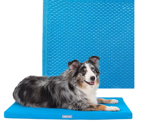 Canada Pooch Chill Out Cooling Mat