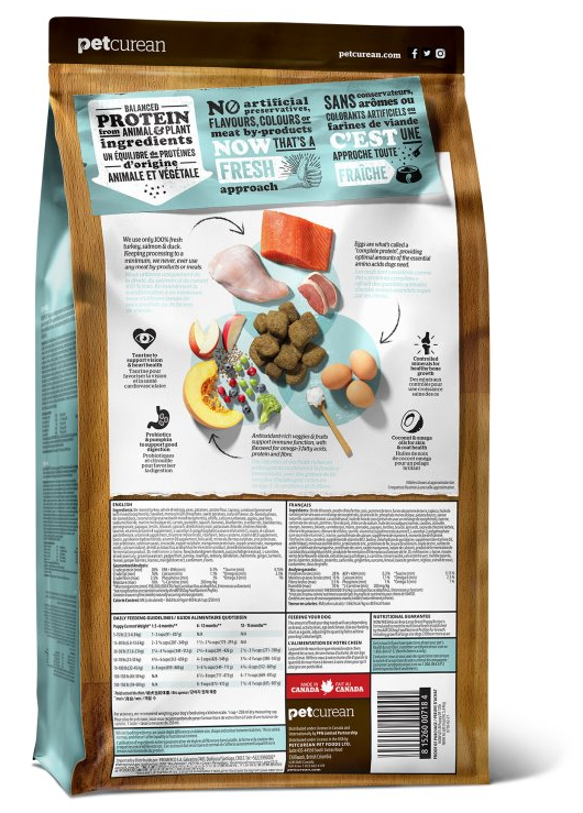 Now Dog Large Breed Puppy