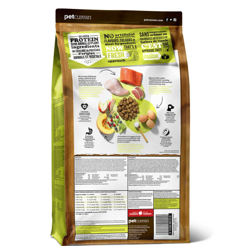 Now Dog Small Breed Puppy