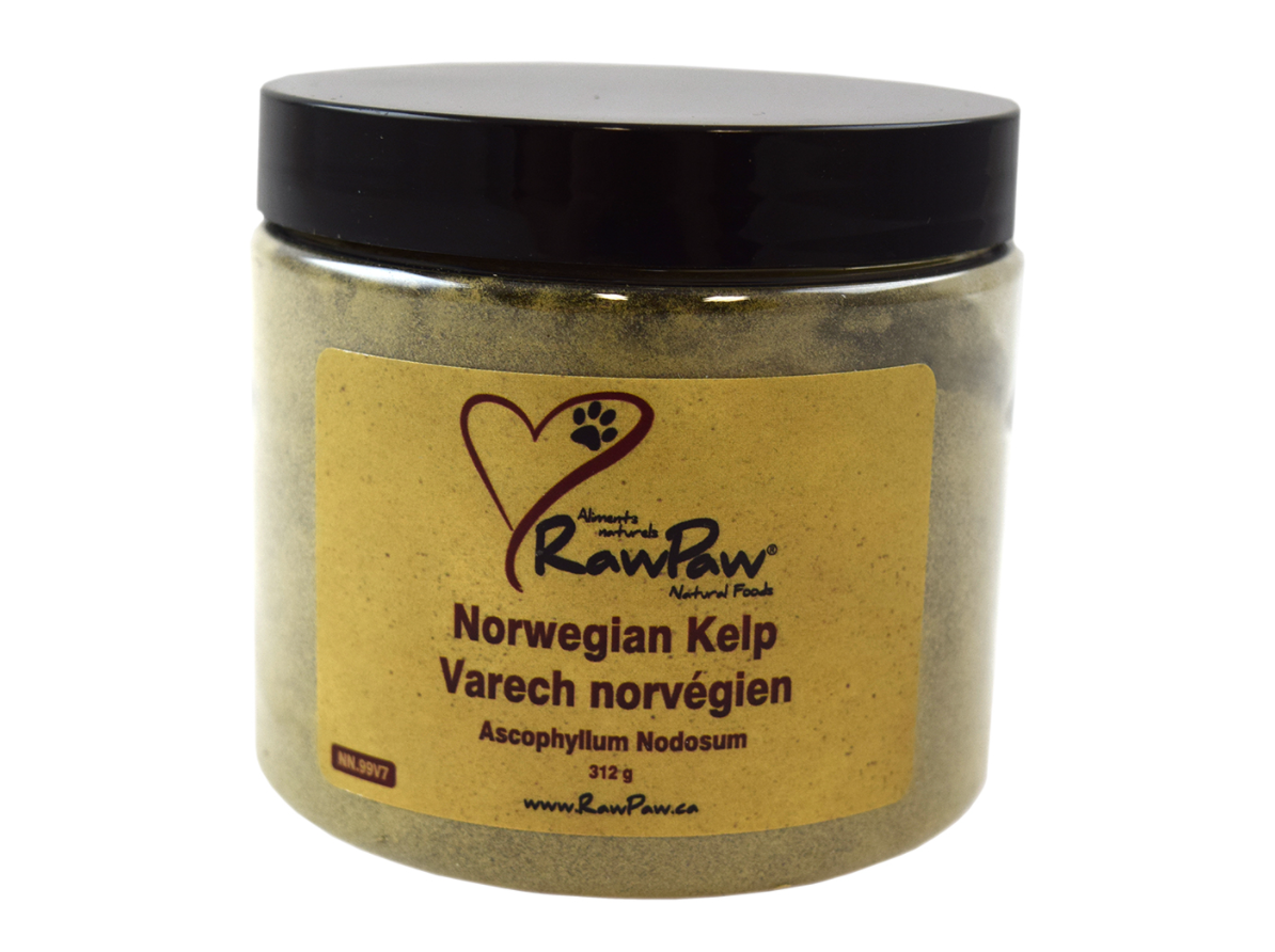 RawPaw Norwegian Kelp