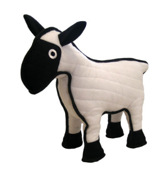 Tuffy Sheep