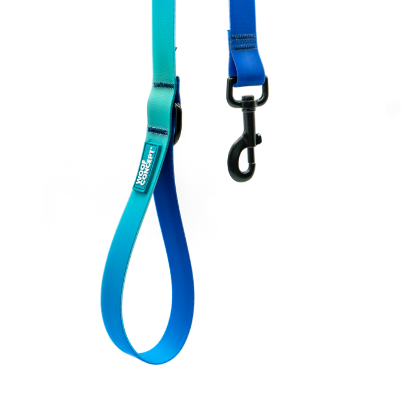 Woof Concept Leash AQUA